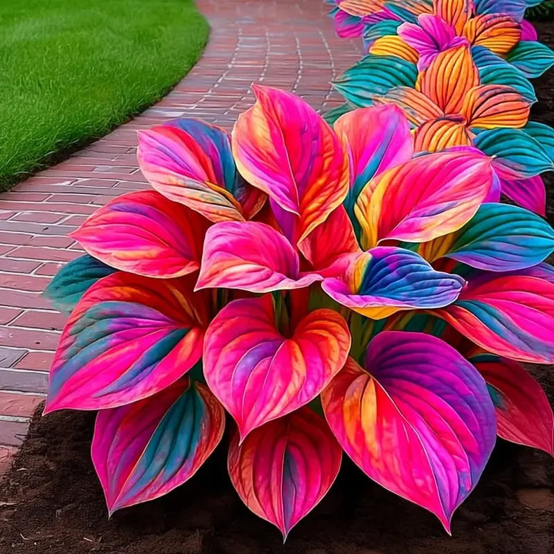 /69b8c94505642f00095c66c8/2026/04/14/product-img-69ddee11f707c0639afa4aab.png